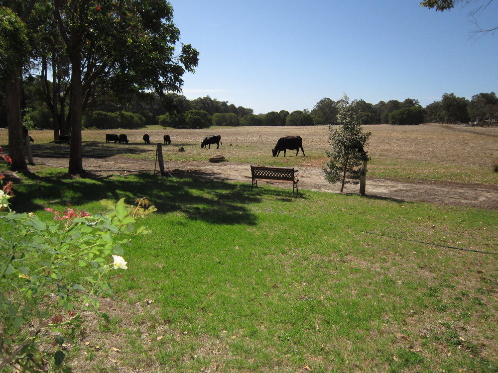 Marri Lodge Margaret River Zewnętrze zdjęcie